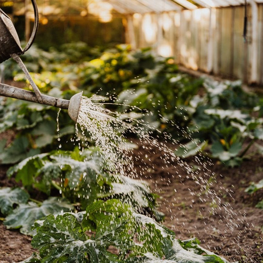 Photo by Karolina Grabowska on Pexels.com